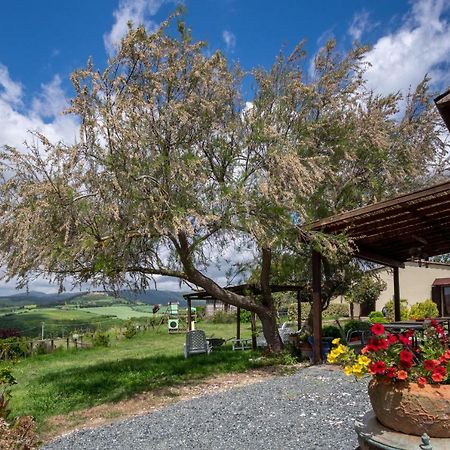 Agriturismo Il Canterino Guardistallo Kültér fotó
