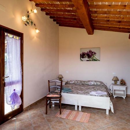 Agriturismo Il Canterino Guardistallo Kültér fotó
