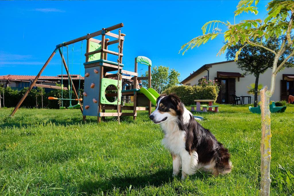 Agriturismo Il Canterino Guardistallo Kültér fotó