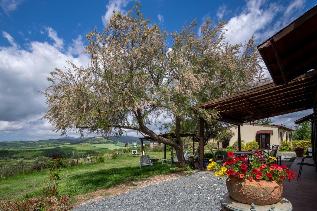 Agriturismo Il Canterino Guardistallo Kültér fotó