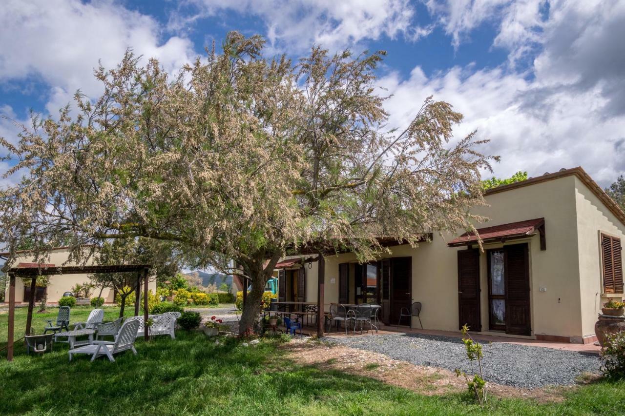 Agriturismo Il Canterino Guardistallo Kültér fotó